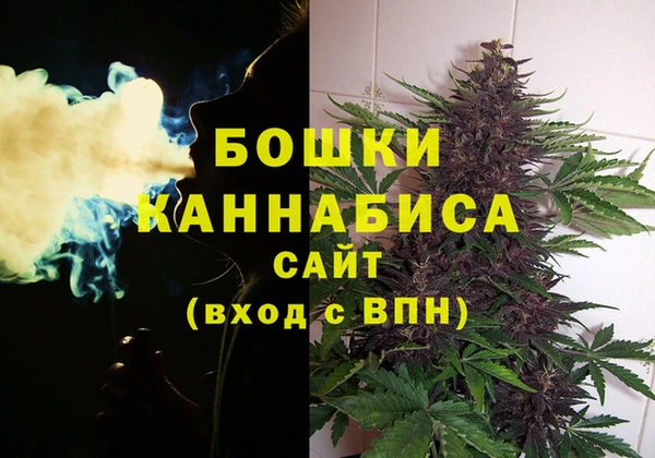сатива Баксан