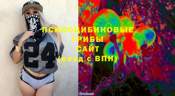 сатива Баксан