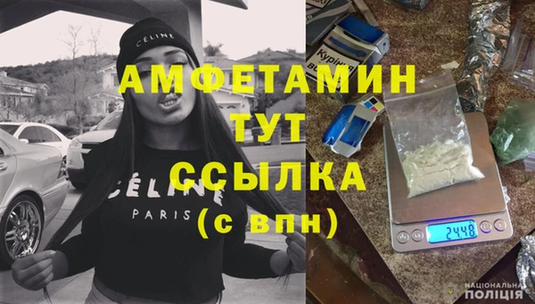 сатива Баксан