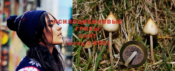 не бодяженный Балахна