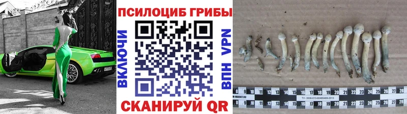 ОМГ ОМГ   Вяземский  Галлюциногенные грибы GOLDEN TEACHER 